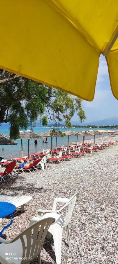 Koralli Beach Нифорейка Экстерьер фото