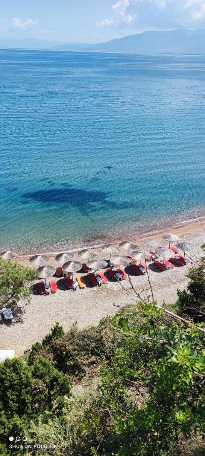 Koralli Beach Нифорейка Экстерьер фото