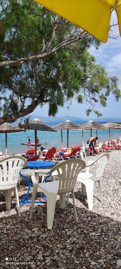 Koralli Beach Нифорейка Экстерьер фото
